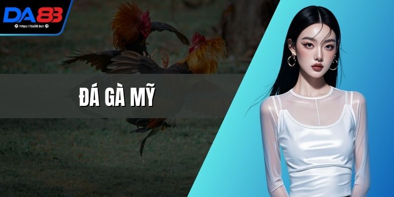 Đá Gà Mỹ - Loại Cược Chuyên Nghiệp, Kịch Tính Từng Trận